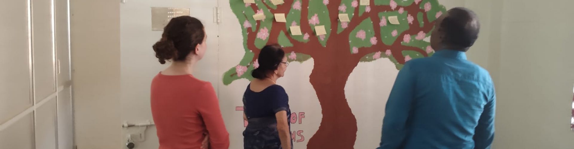 Professional Development Testimonial